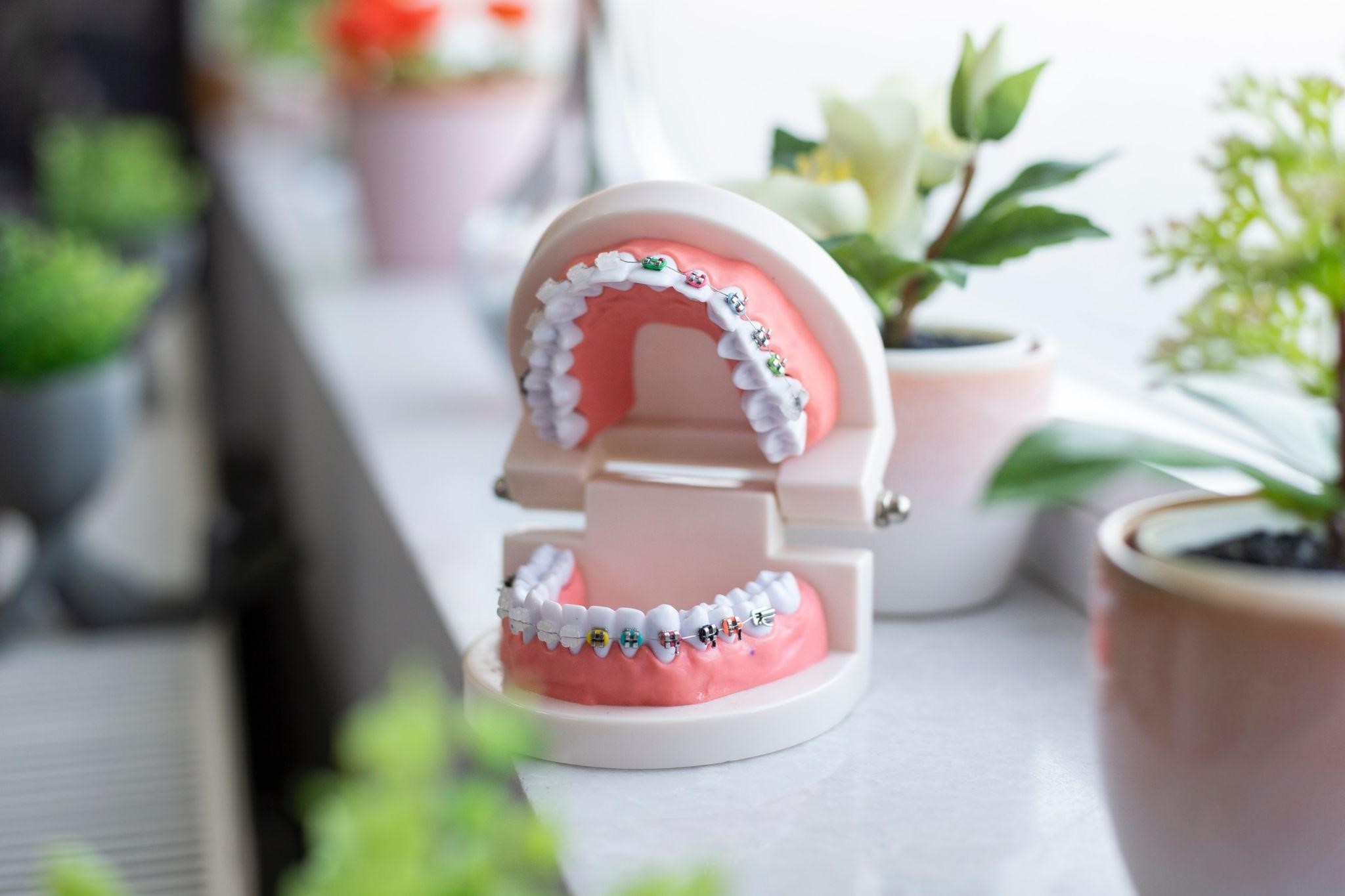 Dental Technology